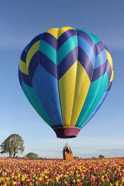 Cómo asegurarte de que tu viaje sea accesible para todos