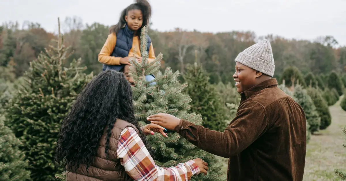 Cómo elegir actividades accesibles para tus vacaciones familiares