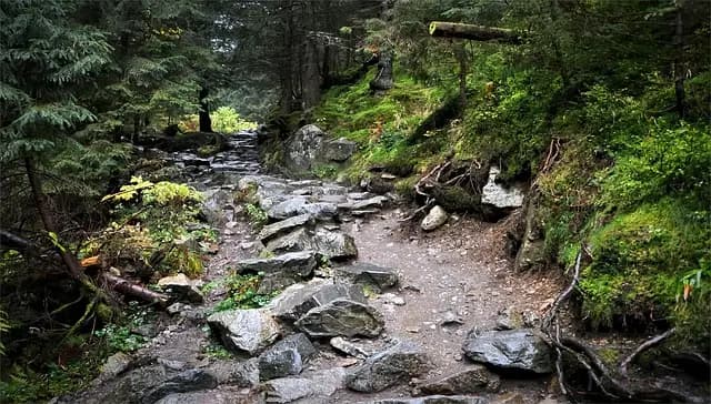 Cómo garantizar un turismo accesible en tus viajes