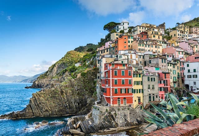 ¿Por qué viajar con un perro de asistencia es un must en el turismo accesible?